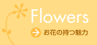 ショップサービス | フラワーショップ 花次郎 ウェディングブーケ