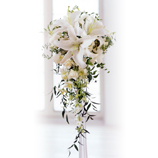 �����L���X�P�[�h