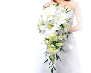 �J�T�u�����J